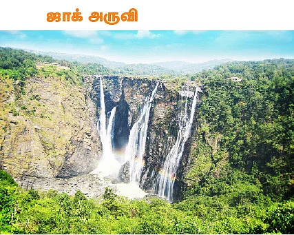 டூர் ஸ்பெஷல்