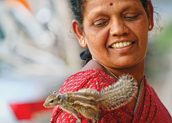 சொல்வனம்