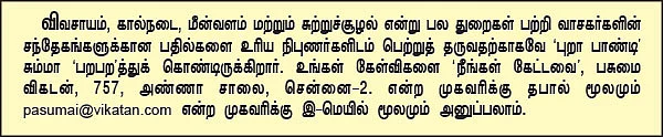 நீங்கள் கேட்டவை : மீன்களுக்கு அரிசிச் சோறு கொடுக்கலாமா?