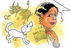 அனுபவங்கள் பேசுகின்றன!