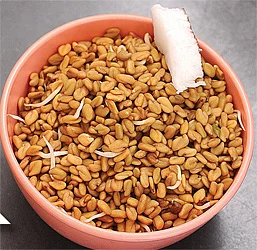 இயற்கை உணவில் எல்லாம் இருக்கு!