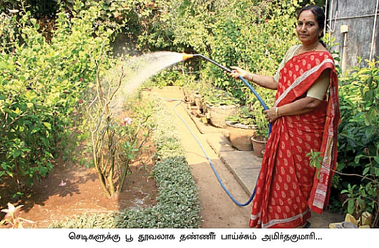 1,500 சதுரடியில் 50 வகை பயிர்கள்...