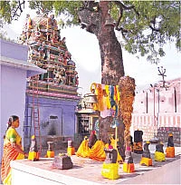 கோட்டையம்மா !
