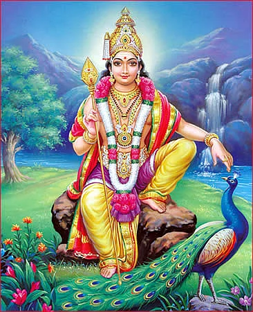 இல்லங்கள் நிறையும் இதயங்கள் பூரிக்கும்! - தை மாத சிறப்பு தொகுப்பு