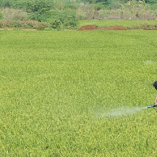 இயற்கை என்.பி.கே... மண்ணை வளமாக்கும் ஜப்பான் தொழில்நுட்பம்! - உதவிக்கு வரும் உயிரியல் - 10