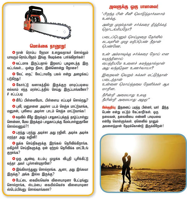 வலையோசை : ஓலைக்கணக்கன்