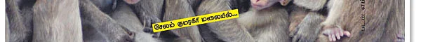 ஸ்மைல் ப்ளீஸ்ங்ணா!