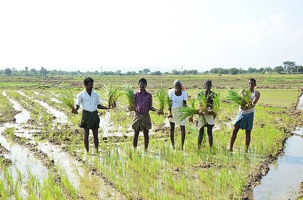 கண்ணன்கோட்டையில் 'கத்தி' வேலை...