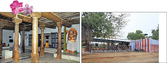 'நல்ல வாழ்க்கைத் துணை வேண்டும், தம்பிராட்டியம்மா!'