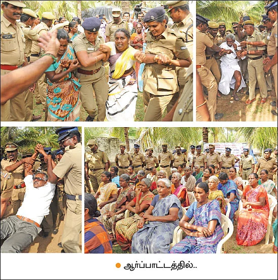 “எங்களை வெட்டுங்க... தென்னை மரங்களை வெட்டாதீங்க!”