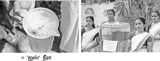 பண்ணையில் பசுமைத்திருவிழா!