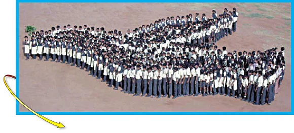 பென் டிரைவ் !
