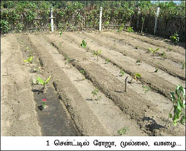 மனமிருந்தால் மார்க்கமுண்டு !