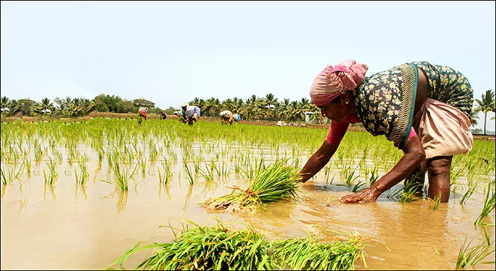 சொல்வனம்