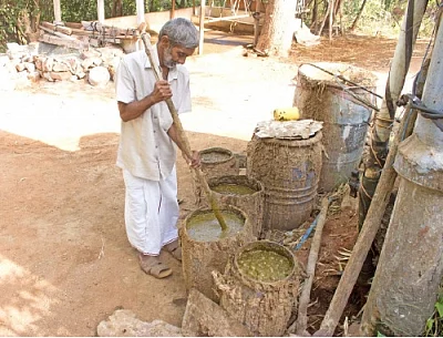 பஞ்சகவ்யா - 12