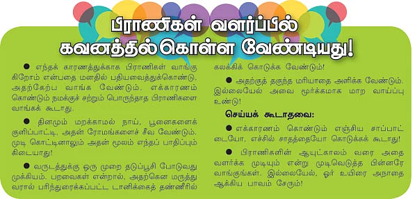 நிற்பதுவே... நடப்பதுவே... பறப்பதுவே...