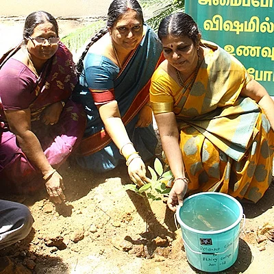உலக சுற்றுச்சூழல் தினம்: கல்லூரியில் மரம் நடும் நிகழ்ச்சி!