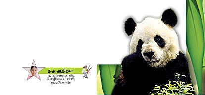 பச்சைத் தங்கம் !