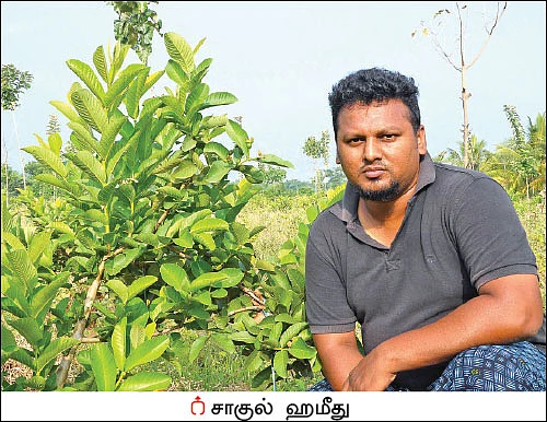10 ஏக்கர் ரூ10 லட்சம் லாபம் தென்னை, பாக்கு, ஜாதிக்காய்...