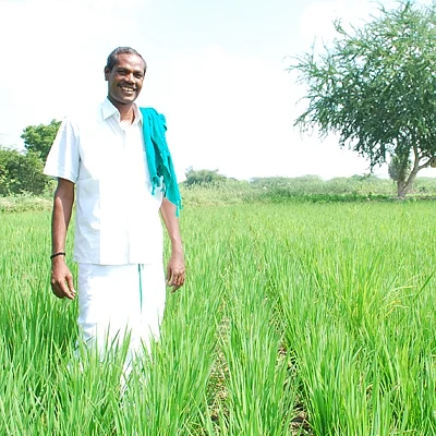 'இப்படி செய்தால் விவசாயம் லாபகரமானதாக இருக்கும்' - வழி காட்டுகிறார் நெல் ஜெயராமன்! #WhereIsMyGreenWorld