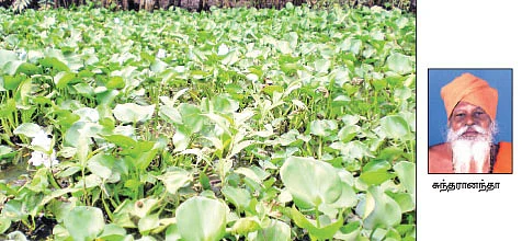 நீங்கள் கேட்டவை