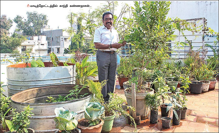 மாடியில் தோட்டம்... மனதுக்கு புத்துணர்ச்சி!