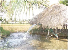நீங்கள் கேட்டவை