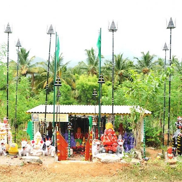 ``இயற்கைக்கு நன்றி செலுத்தணும்ல!’’ - இயற்கைக்குக் கோயில் கட்டிய எளிய மனிதர்