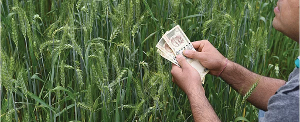 உங்களுக்கு கைகொடுக்கும் பணத்தோட்டம்!