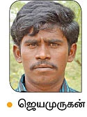 சீமைக்கருவேல்... வரமா... சாபமா ..?