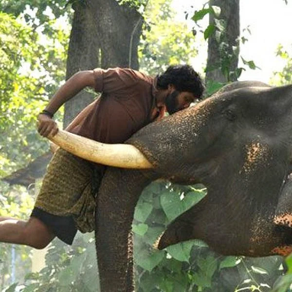 ''கும்கி 2' படத்தில் இமானுக்குப் பதில் இவரா..!?