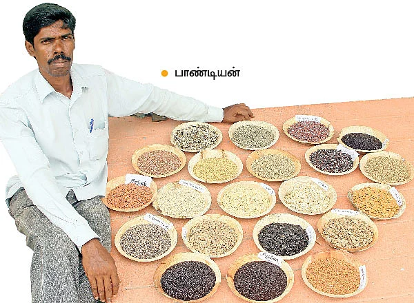 ஆடிப்பட்டம் தேடி விதை... வகை வகையாய் காய்கறிகள்...வளமான வருமானம்!