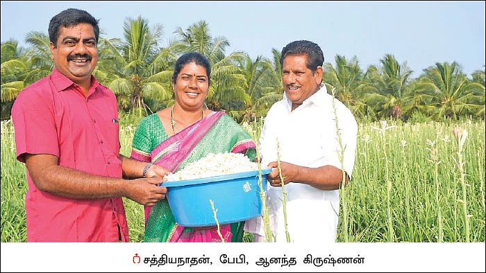 12 ஏக்கர், ரூ.23 லட்சம்... சம்பங்கி, அரளி, காட்டு மல்லி, செவ்வந்தி... மலர்ச் சாகுபடியில் மணக்கும் லாபம்!