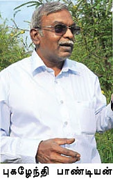கரிசலில் காய்த்துக் குலுங்கும் நெல்லி !