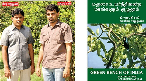 கார் தெரியும்... மரம் தெரியுமா?