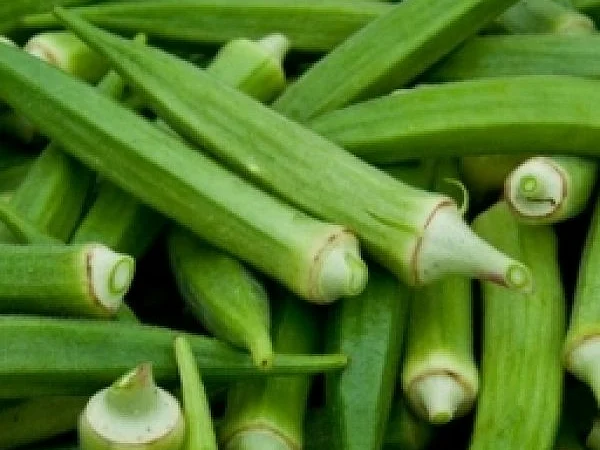 Ladies Finger a medicinal vegetable Cures Diabetes,Asthma....