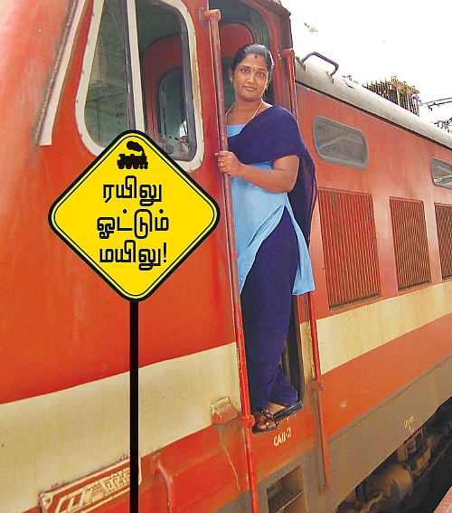 ரயிலு ஓட்டும் மயிலு!