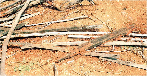 நம்பிக்கை தரும் நாட்டுக்கோழி வளர்ப்பு! - 25 சென்ட் நிலம்... ஆண்டுக்கு ரூ 3 லட்சம்