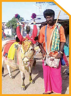 பெரியசாமியின் அழகர்மலையான்!