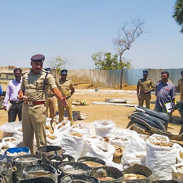 தூத்துக்குடியிலிருந்து இலங்கைக்குக் கடத்த முயன்ற 1,500 கிலோ பதப்படுத்தபட்ட கடல் அட்டைகள் பறிமுதல்