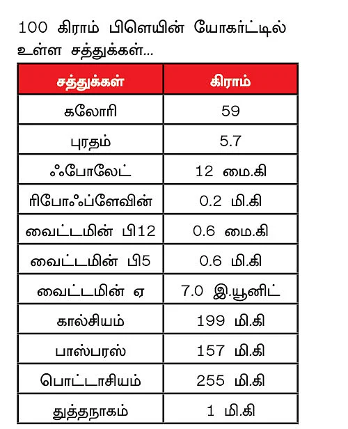 இனிக்கும் தயிர் யோகர்ட்!