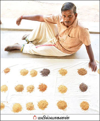 விதைச் சேமிப்பில் பாரம்பர்ய உத்திகள்!