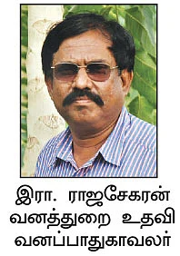 வாழ்க மரம்... வளர்க பணம் !