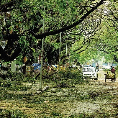 ஆயிரம் சூரியன் ஆயிரம் சந்திரன் ஒரே ஒரு பூமி - 29