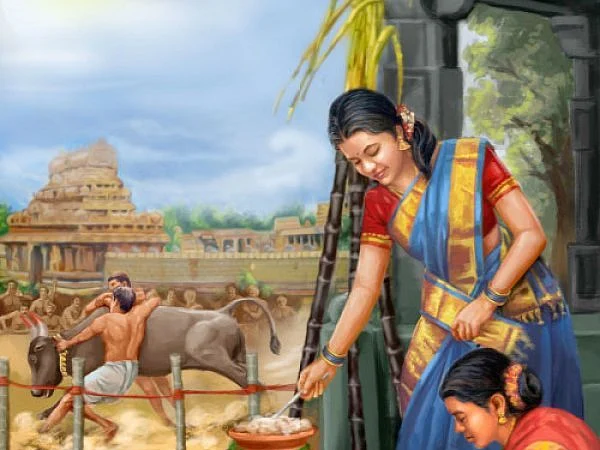 `பொங்கல் வைக்க உகந்த நேரம் எது?’- சொல்கிறார், ஜோதிடமாமணி கிருஷ்ண துளசி