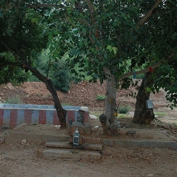 இயற்கை காதலர்களை ‘வருக வருக’வென அழைக்கும் ஈசன் மலை! காடு, மலை தாண்டி கடவுளைத் தேடி..! பரவசப் பயணம் - 7