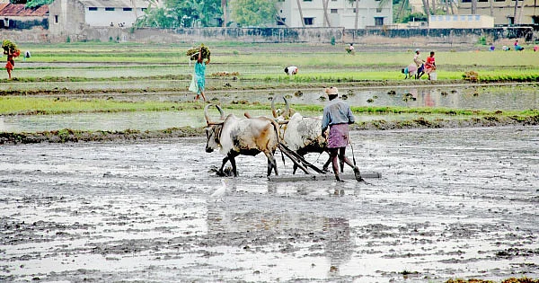 மண்ணுக்கு மரியாதை