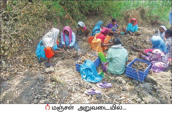 ‘பசுமை’ காட்டிய பாதை! - சத்தீஸ்கரில் மலரும் இயற்கை விவசாயம்!