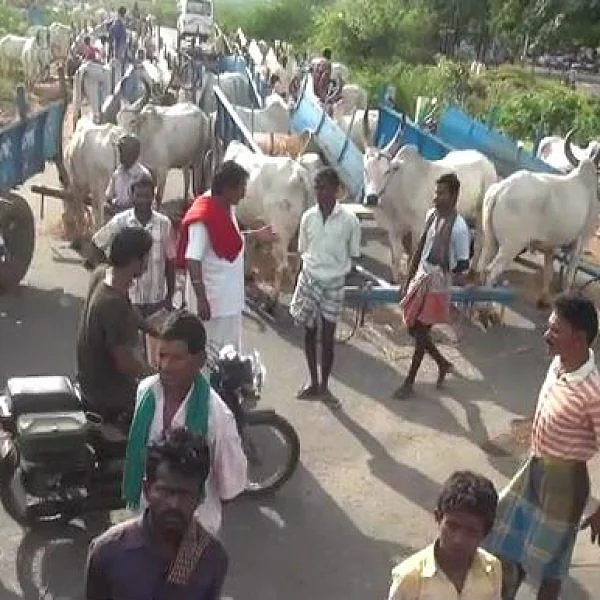 `வாழ்வாதாரம் போச்சு; தேர்தலைப் புறக்கணிக்கிறோம்!' - மணல் மாட்டுவண்டித் தொழிலாளர்கள் வேதனை