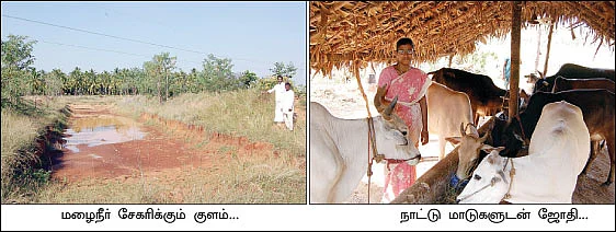 'மொழி கருப்புச் சம்பா...'